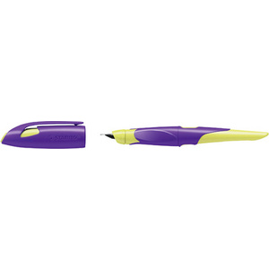 STABILO Stylo plume EASYbirdy R, droitiers, bleu/vert