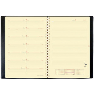 QUO VADIS Agenda 'Note 29 S', 210 x 297 mm, 2026, noir