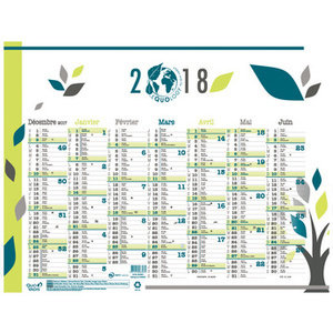 QUO VADIS Calendrier mural 'Equology', 550 x 405 mm, 2026