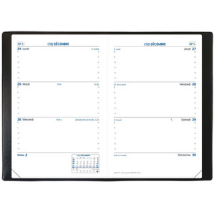 QUO VADIS Agenda de poche SAPA X, 100 x 150 mm, 2026,assorti