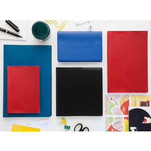 QUO VADIS Agenda 'Consul', 210 x 297 mm, 2026, assorti
