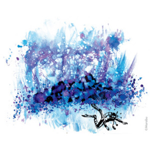 Marabu Set d'encre permanente Alcohol Ink UNDERWATER