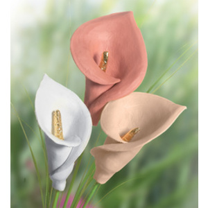 FIMO air BASIC Pâte à modeler, durcit à l'air, terre