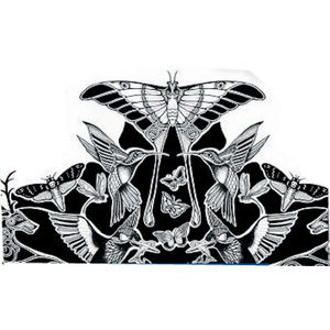 STAEDTLER Feutre à pigment, noir, largeur du tracé: 0,4 mm