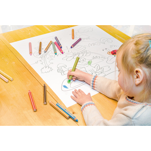 STAEDTLER Crayon de couleur hexagonal Noris junior, étui