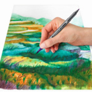 STAEDLER Feutre double pointe 'Australie', étui carton de 6