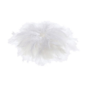 folia Plumes soyeuses, 10 g, assorti