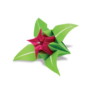 folia Feuilles de papier origami à plier, 100 x 100 mm