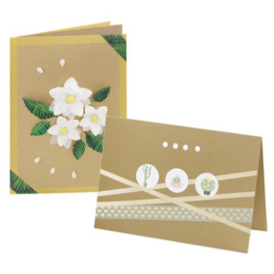 folia Carte double, 105 x 150 mm, 220 g/m2, brun kraft