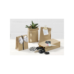 folia Sachet à fond plat en papier, 100 x 55 x 175mm, nature