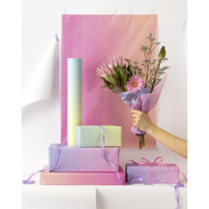 folia Papier de soie, 500 x 700 mm, 20 g/m2