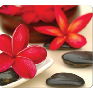 Fellowes tapis souris EARTH, motif: feuilles, rectangulaire