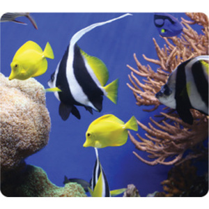 Fellowes tapis souris EARTH, motif: feuilles, rectangulaire