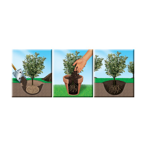 COMPO SANA Terreau de rempotage, 50 litres