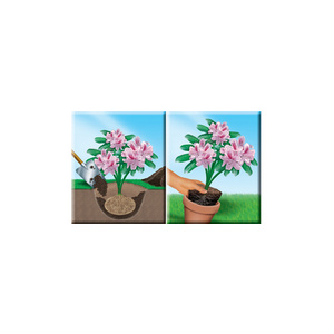COMPO SANA Terre dite de Bruyère pour rhododendrons, 50 l