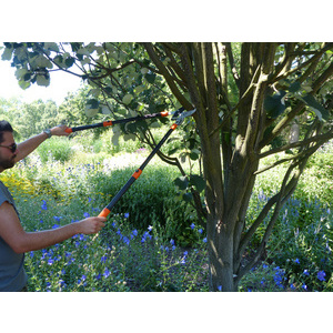 Garten PRIMUS Coupe-branches à enclume-sécateur, crémaillère