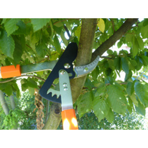 Garten PRIMUS Coupe-branches Power à engrenage