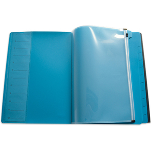 Oxford Trieur 'for Students', 12 compartiments, A4, assorti