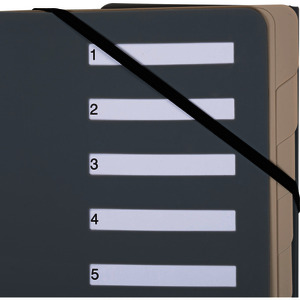 Oxford for Business Trieur, A4, compartiment 1-12, gris