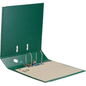 ELBA Classeur rado plast, largeur de dos: 80 mm, A4, vert