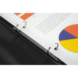 kangaro Classeur à anneaux, 2 anneaux, PP, A4, noir