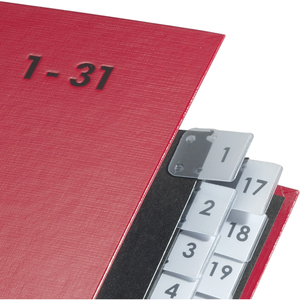 PAGNA Trieur Color, format A4, 1 - 31, 31 compartiments