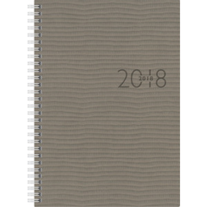 rido idé Agenda planning 'studioplan int. Tejo', 2026, gris