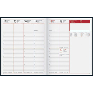 rido idé Agenda planning 'Manager TM Reflection', 2026, gris