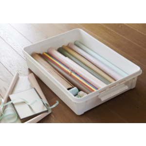 smartstore Boîte de rangement 'Bedroller', 60 litres