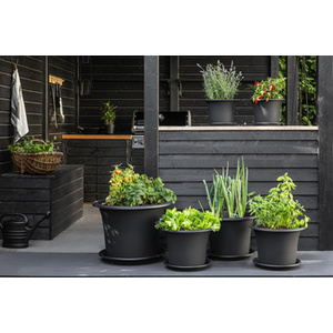 orthex Soucoupe BOTANICA, diamètre: 260 mm, terracotta