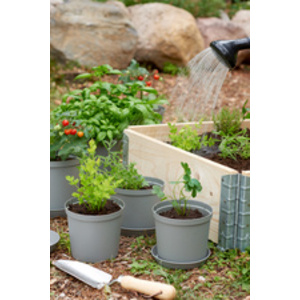 orthex Pot de fleurs CULTIVATE, diamètre : 240 mm, gris