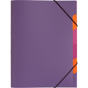 PAGNA Trieur 'Funky School', A4, PP, 5 compartiments