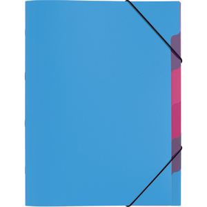 PAGNA Trieur 'Funky School', A4, PP, 5 compartiments