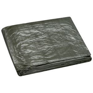 WESTEX Bâche toile avec oeillets, 1,5 x 6 m, vert