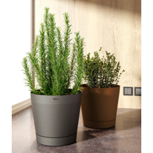 tera Pot de fleurs 'Orione', diamètre: 380 mm, blush