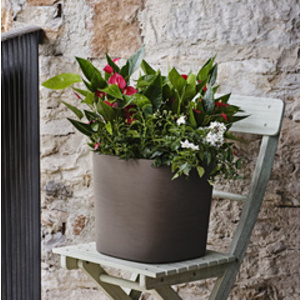 tera Pot de fleurs 'Capri', largeur: 380 mm, forest