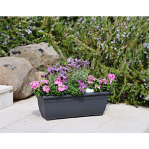 tera Jardinière XXL 'Tora', largeur: 600 mm, anthracite