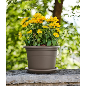 tera Pot de fleurs 'Basic round', diam.: 180 mm, anthracite
