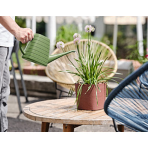 tera Arrosoir 'Wave', 3,67 litres, moss