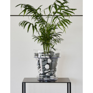 tera Pot de fleurs 'Porto 16', transparent
