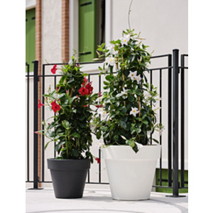 tera Pot de fleurs 'Standard One 140', antracite