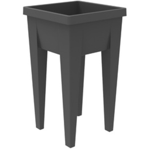 EDA Couvercle pour mini-jardinière 'VEG&Table', transparent