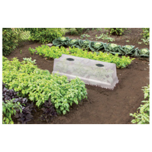EDA Couvercle pour jardinière 'VEG&Table' City, transparent