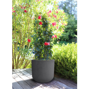 EDA Bac à plantes BASALT UP, rond, 385 mm, anthracite
