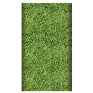 PAPSTAR Serviettes à motif 'Football', 330 x 330 mm