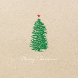 PAPSTAR Serviette à motif de Noël 'Simply Natural'