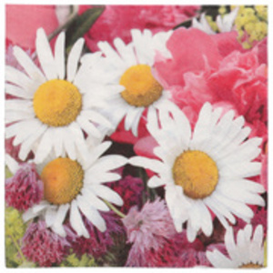 PAPSTAR Serviette à motif 'Jardin', 330 x 330 mm