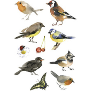 HERMA Sticker DECOR 'Oiseaux à l'aquarelle'