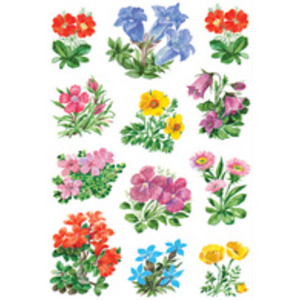 HERMA Autocollants DECOR 'Tournesols'