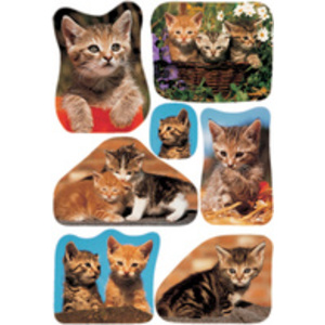 HERMA Autocollants DECOR 'Photos de chats'